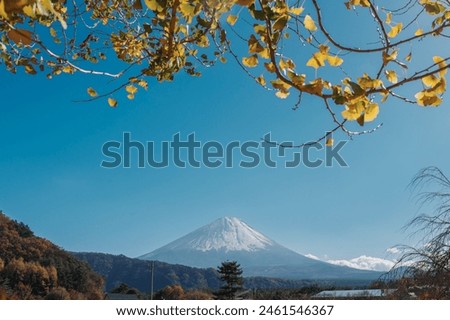 Mount Fuji view at Saiko Iyashino Sato Nenba in Autumn season. Mt Fujisan in Fujikawaguchiko, Yamanashi, Japan. Landmark for tourists attraction. Japan Travel, Destination, Vacation and Mount Fuji Day Royalty-Free Stock Photo #2461546367