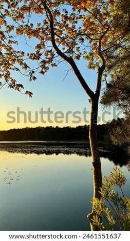 Landscape photography at sunset by the lake in New Jersey, USA