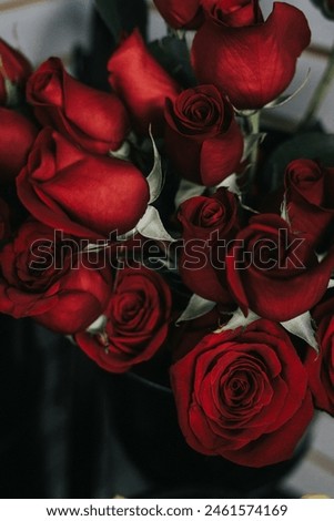 1.Red rose 2.beautifull flower 3.rose flower 
4.nature rose 5.best rose wallpaper 
6.red petals 7. Flower photography 