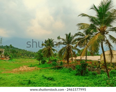 A picture of a field taken from the bus on my way to Wayanad