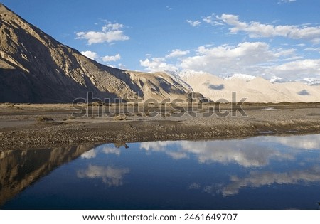 The Bactrian camel (Camelus bactrianus) in Nubra Valley, Ladakh, India. The name comes from the ancient historical region of Bactria, in Central Asia. Royalty-Free Stock Photo #2461649707