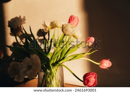 Bouquet of white and pink tulips in a vase on wooden table. Spring background with a bouquet of flowers. Front view
