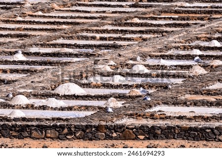 A desert scene with many small salt pans. The salt pans are in a row and are all different sizes Royalty-Free Stock Photo #2461694293