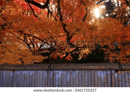 Morioka City, Iwate Prefecture, autumn leaves scenery Royalty-Free Stock Photo #2461725257