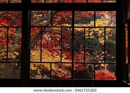 Morioka City, Iwate Prefecture, autumn leaves scenery Royalty-Free Stock Photo #2461725283