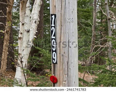 A civic sign attached to a pole that reads 1299.