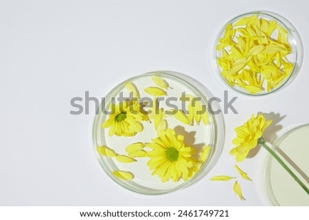 Above angle shot photo, white table with laboratory glassware contains calendula flowers and petals placed above. Photo was taken from top view with blank space for displaying organic product