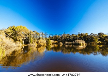 DAYLESFORD, AUSTRALIA - MAY 12 2024: Landscape around Lake Daylesford in a cool late autumn afternoon in Daylesford, Victoria, Australia Royalty-Free Stock Photo #2461782719