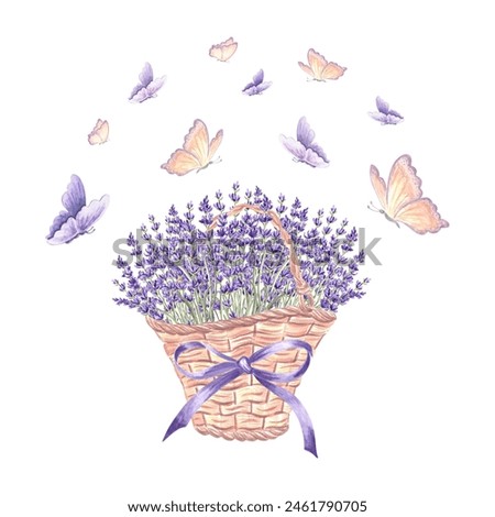 Lavender and butterflies. Floral bouquet in basket with bow. Hand drawn watercolor illustration of Provence spring flowers, herbs. Isolated template for card, print, tableware, textile, embroidery.
