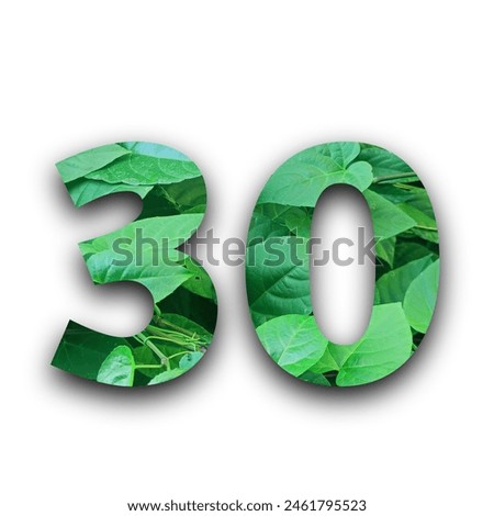 Leafs number 30 made of Real alive leafs with Precious paper cut shape of number with white background. Leafs font. Isolated white background