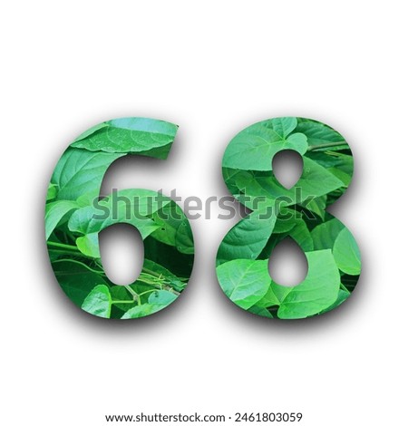 Leafs number 68 made of Real alive leafs with Precious paper cut shape of number with white background. Leafs font. Isolated white background