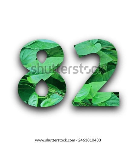 Leafs number 82 made of Real alive leafs with Precious paper cut shape of number with white background. Leafs font. Isolated white background