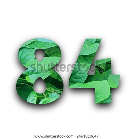 Leafs number 84 made of Real alive leafs with Precious paper cut shape of number with white background. Leafs font. Isolated white background