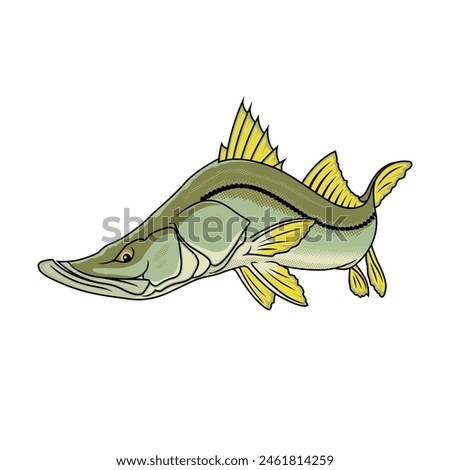 snook fishing illustration logo vector image t shirt
