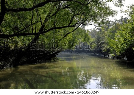 The Sundarbans, a UNESCO World Heritage Site.this photo was taken from  Sundarbans National Park,Bangladesh.