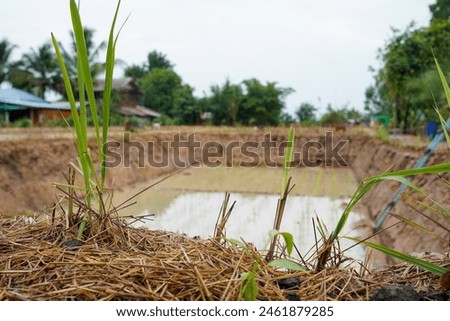 Digging a pond , Farm ponds at farm gardent for Agriculture.