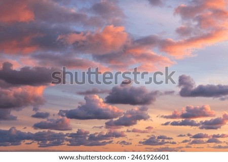 Small clouds in dramatic real sky at sunset texture background overlay. Dramatic blue, orange, and purple clouds. High resolution photograph perfect for sky replacement