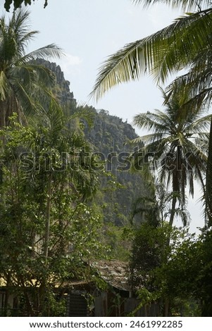 A lush green forest with palm trees and a mountain in the background. The scene is peaceful and serene