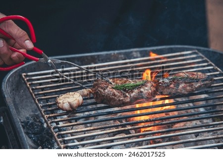 Banner BBQ Barbecue grilled meat stick on fire flame hot charcoal cooking outdoor. Banner Beef grilling picnic rib smoke bacon american cuisine. Grill pork heat bbq rack fire flame with copy space