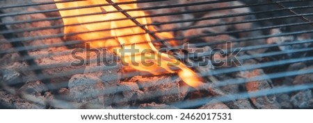 Banner BBQ Barbecue grilled meat stick on fire flame hot charcoal cooking outdoor. Banner Beef grilling picnic rib smoke bacon american cuisine. Grill pork heat bbq rack fire flame with copy space
