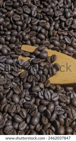 The Roasted Robusta coffee Beans. this picture can use for background packaging your coffee product or coffee product brochure 