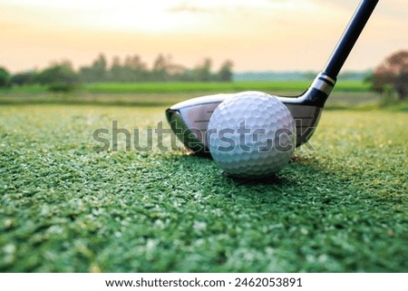 The atmosphere of playing golf in the picture includes playing equipment such as golf clubs, golf balls, grass and sunlight.