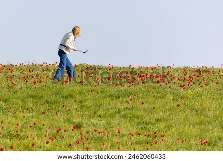 A woman takes a photo of a field with red tulips in spring on her phone.