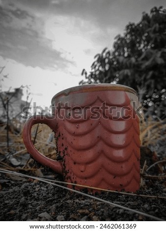 Cup Photo 
Beautiful Photo
Natural cup Photo
Beautiful Cup 