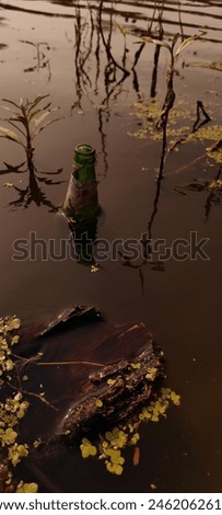 A beer bottle and floating in the lake , the lake water is not good but pic is nice 