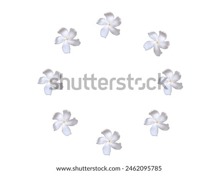 Pinwheel jasmine flowers in circle isolated on white background
