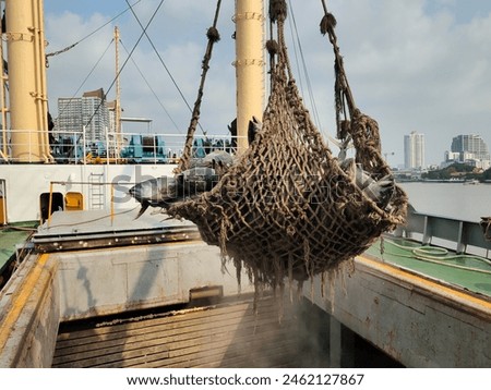 Transshipment for Frozen Yellowfin tuna mixed size in large net. Hangs out from the hatch, cold storage on ship into the truck, During unloading cargo to factory in port and marine industry concept