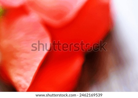 red rose like painted picture Royalty-Free Stock Photo #2462169539
