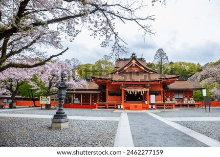Cherry blossoms blooming in Fujisan Hongu Sengen Taisha Shinto Shrine at Fujinomiya famous shrine and landmark Shizuoka Japan Royalty-Free Stock Photo #2462277159