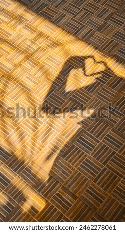 Selective focus picture of a person showing heart in shadow 