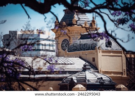 Intricate clock tower and domed rooftops of a classical building peek through blooming purple branches, juxtaposed against modern structures in Málaga.