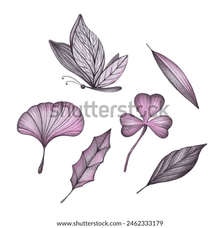 Set with Hand Drawn Pencil Leaves and Butterfly. Clip Art of Plants and Insects. Image of a Leaf for Scrapbooking. Print for Paper and Textile