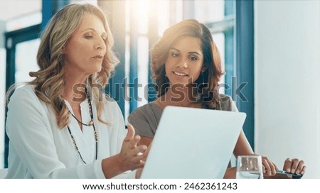 Business women, mentor and laptop with advice and discussion for intern with company learning. Computer, website process and communication in a office with tech and digital editor training for job
