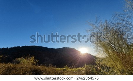 Full sun rising and hiding behind the mountain line and taken through the various tree shape and tree branch shape (Banna Mon Muan)