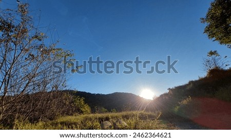 Full sun rising and hiding behind the mountain line and taken through the various tree shape and tree branch shape (Banna Mon Muan)