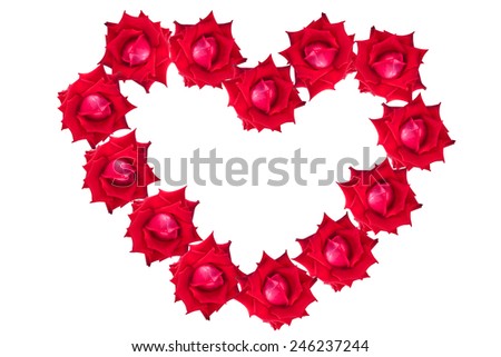  red rose flower of heart