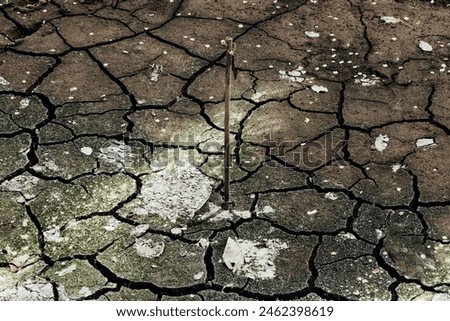 Pedology; agrology. Dismal picture of a dried-up pond, eutrophic water. A black cracked dirty surface after organic enrichment - good natural fertilizer (organic compounds). Silt measure
