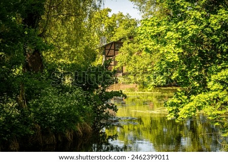 Waterlogged pond and old overgrown garden Royalty-Free Stock Photo #2462399011