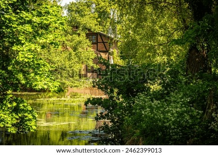 Waterlogged pond and old overgrown garden Royalty-Free Stock Photo #2462399013