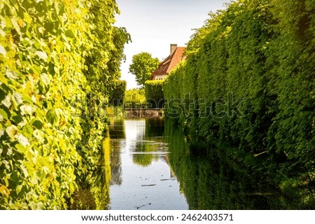 Waterlogged pond and old overgrown garden Royalty-Free Stock Photo #2462403571