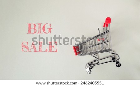 A shopping cart with the word big sale written on it. The cart is placed on a white background