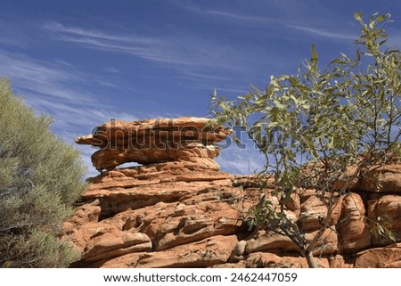 Scenery at Kings Canyon Petermann Ranges Northern Territory Central Australia