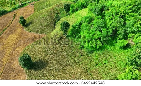 Aerial drone imagery reveals the intricate agricultural systems etched into the hilly and plateau terrains. Precision farming techniques optimize crop yields in challenging landscapes. Thailand.
