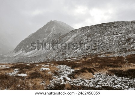 The steep slopes of a high mountain range with loose stones descend into a picturesque valley sprinkled with the first snow. Sailyugemsky Ridge, Altai, Siberia, Russia. Royalty-Free Stock Photo #2462458859