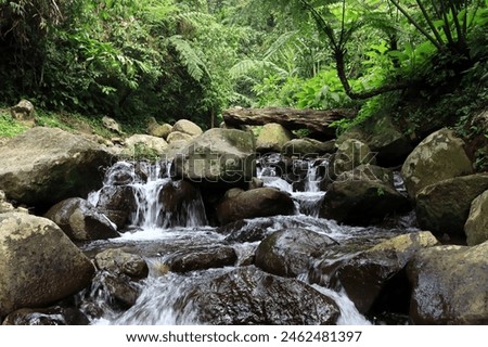 Background of natural river with fresh water in the tropical forest Royalty-Free Stock Photo #2462481397
