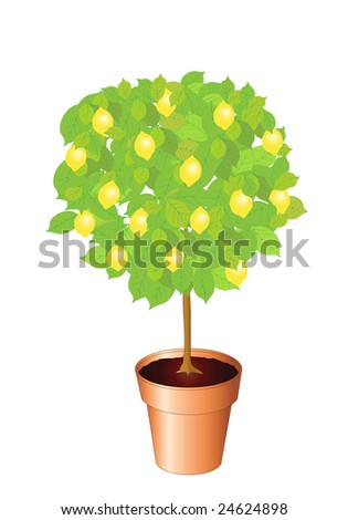 Vector illustration of a lemon tree. Also available as a jpg
